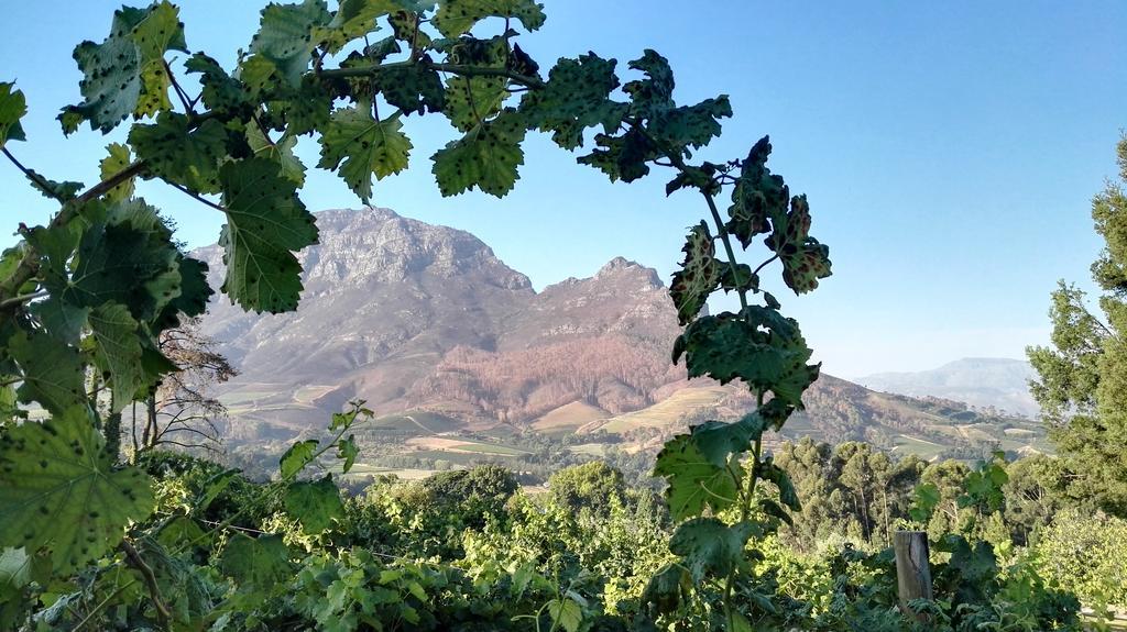 Clouds Estate Hotell Stellenbosch Eksteriør bilde